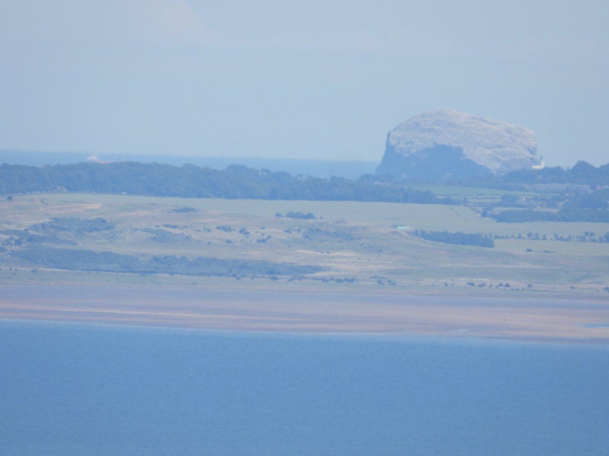 oh my god twitter doesn’t include alt text from images in their API