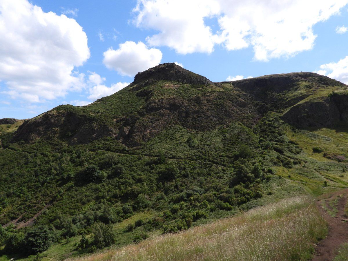 oh my god twitter doesn’t include alt text from images in their API